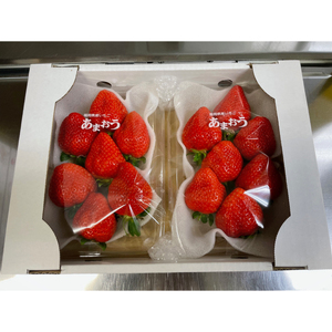 【2026年1月発送】 苺 あまおう 540g (270g×2P) いちご | あまおう OKI