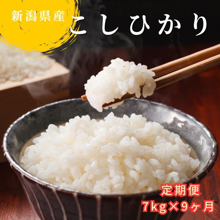 
米 定期便 7kg×9か月 (計 63kg) 新潟県産 コシヒカリ 令和6年産 精米したてをお届け 新潟のど真ん中 見附市 こしひかり
