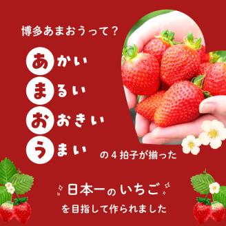 福岡県産あまおう 270g×４パック【３回定期便】