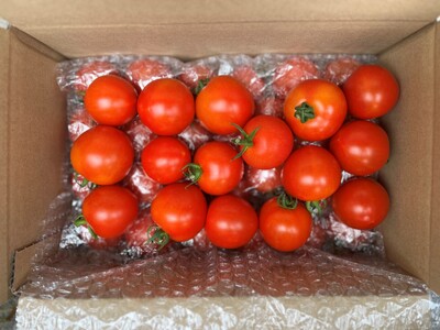 北海道壮瞥町産 ラビットゴッホ1kg 中玉トマト SBTAJ001