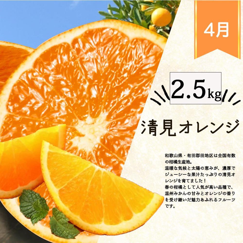 【定期便・指定月（1・2・3・4月）全4回】紀州和歌山産 旬の柑橘 セット (みかん・不知火・せとか・清見) ［UT137］ AN063_イメージ5