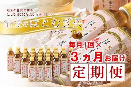 【3回定期便】 はとむぎ茶 ペットボトル 24本 ペットボトル