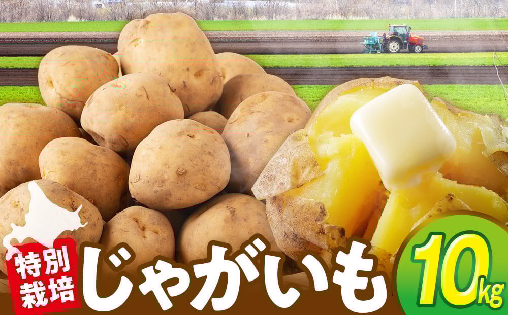 
            【先行受付】R8年産 特別栽培じゃがいも（男爵） 10kg | 北海道津別町
          