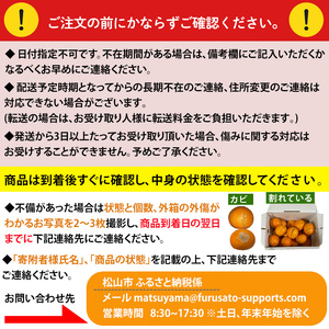 紅まどんな 約2.7kg 青秀 L ~ 3Lサイズ（ 10 ～15玉 ） ( 愛媛県産 みかん 柑橘 みかん フルーツ みかん 果物 みかん 愛果28号 みかん 新鮮 みかん 愛媛県 松山市 まどんな