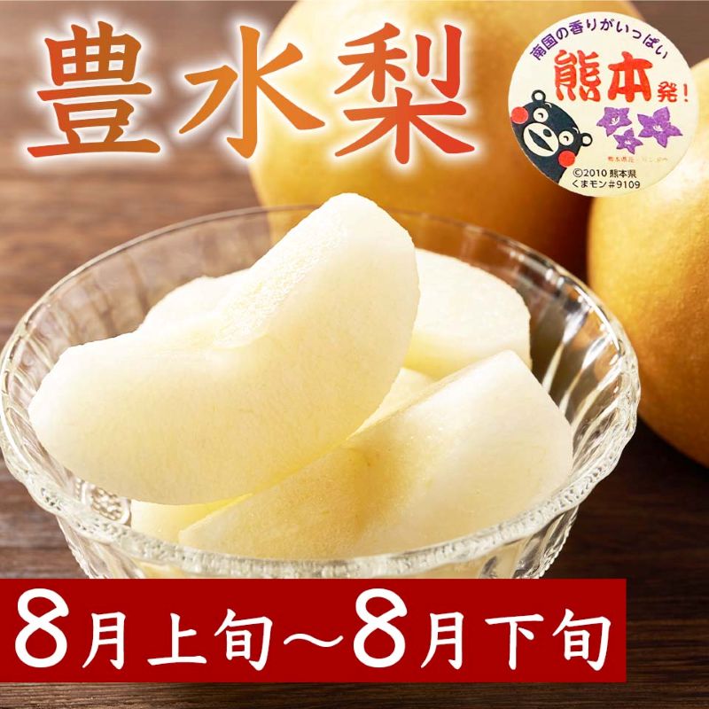 定期便3回 梨 約3kg×3回 計約9kg 豊水 秋月 新高 8月～10月出荷【梨 なし 果物 フルーツ デザート 食後 熊本県産】※配送不可：離島