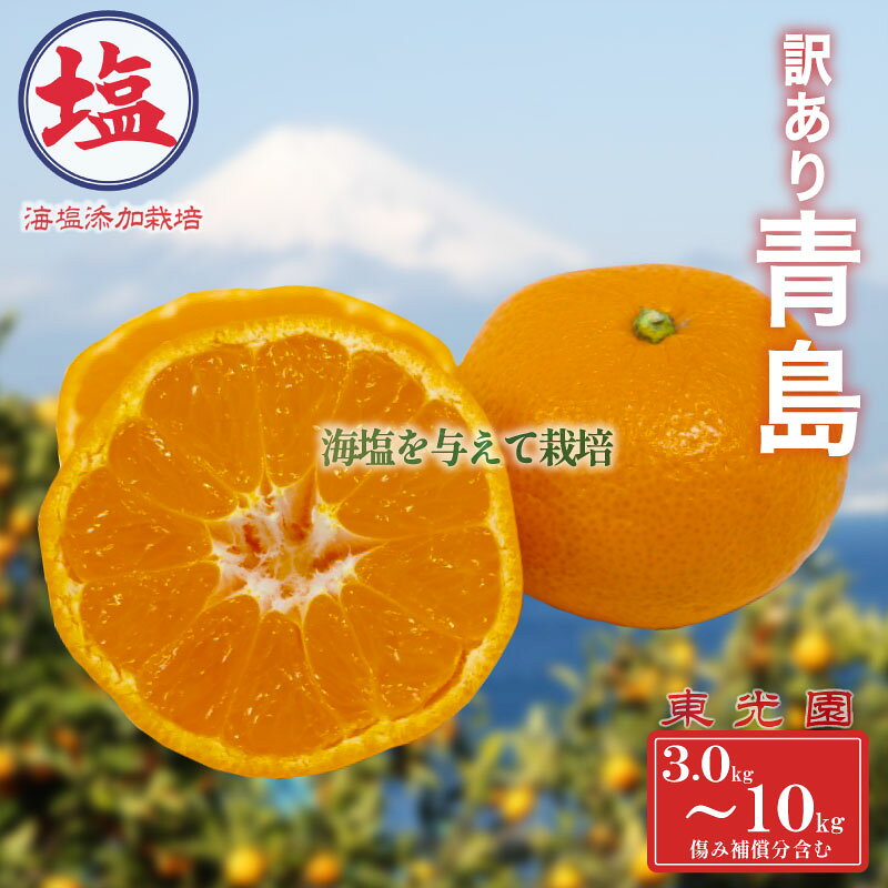 【ふるさと納税】 海塩 を与えて栽培した 青島みかん 予約受付 12月下旬 順次発送 訳あり 青島 みかん 計 3kg ~ 10kg 傷み補償分 200g～400g 含む 蜜柑 柑橘 西浦 みかん オレンジ 果物 フルーツ 沼津市 静岡県