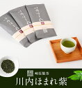 【ふるさと納税】川内ほまれ 紫 煎茶 合計300g (100g×3パック)　BS-013　 お茶 緑茶 茶葉 ティータイム 崎原製茶 鹿児島県 薩摩川内市 送料無料