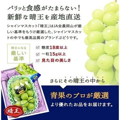 ぶどう 2026年 先行予約 シャイン マスカット 晴王 1房 700g前後  岡山県産 シャインマスカット
