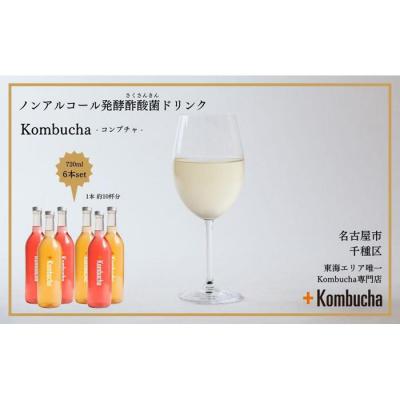 ふるさと納税 名古屋市 美味しく楽しめる!+KombuchaのKombucha6本セット
