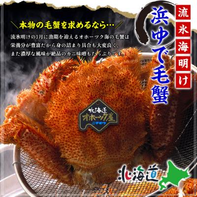 ふるさと納税 紋別市 【甲羅組】北海道産　ボイル毛蟹 |  | 01