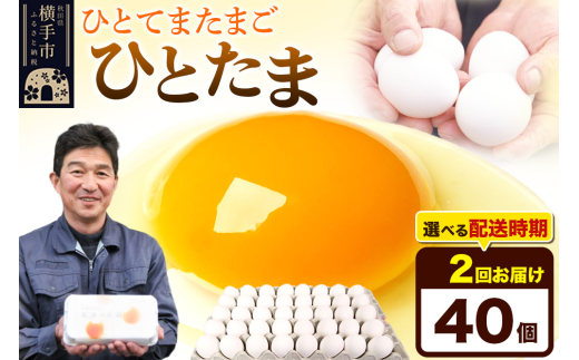《定期便2ヶ月》ひとたま 40個（業務用）