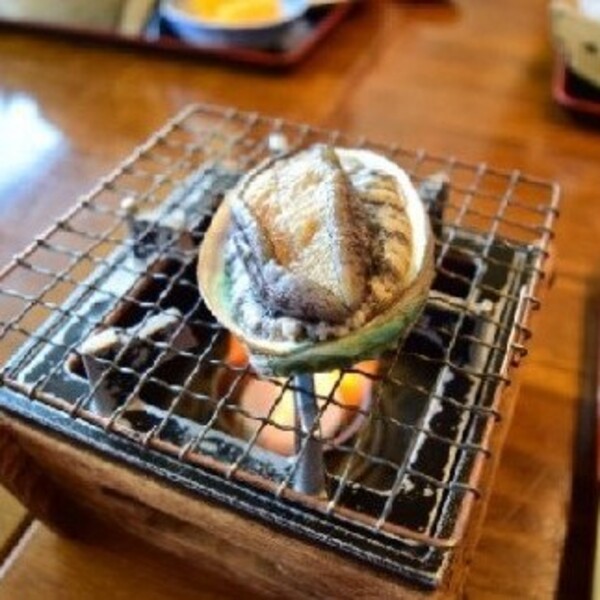 【2026年11月～発送】三陸産天然活あわび 120g相当×1個【冷蔵】【35】｜11月～12月発送 三陸 岩手県 大槌町 あわび 人気 鮑 刺身 いわて iwate 初栄丸