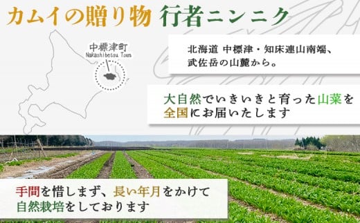 北海道中標津産 行者ニンニク醤油漬×1個・オイル味噌×1個セット