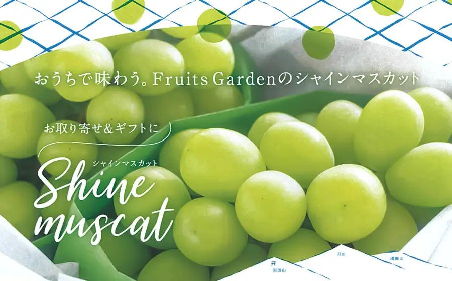 【令和8年産】 シャインマスカット 約1.5kg 大粒3房 山形県鶴岡市 フルーツガーデン