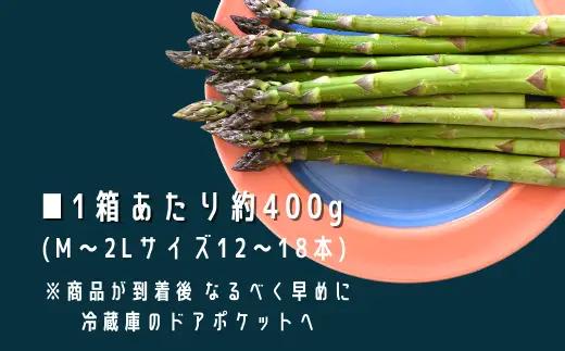 【令和9年産 先行予約】幻のアスパラ 400g × 2箱 ラスノーブル 墫乃字