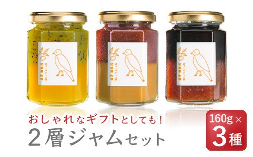 【ふるさと納税】 無添加 手作り2層ジャム　160g × 3種セット＜お試し商品＞保存料 着色料 不使用 ジャム フルーツ 苺 いちご イチゴ キウイ マンゴー ブルーベリー ミルク milk 果物 果肉 パン 朝食 朝ご飯 贈り物 贈答 箱詰め プレゼント ギフト 手作り KA-35