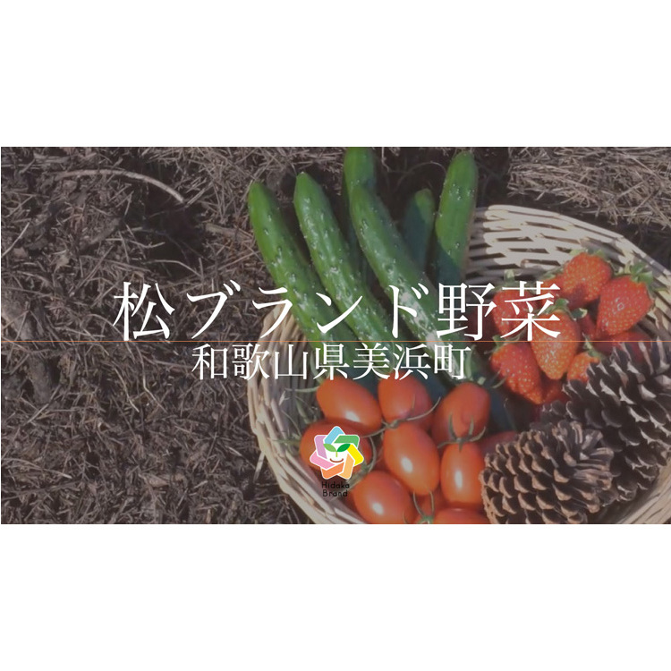 【煙樹の松野菜ブランド】
松とまと（アイコ）松きゅうりセット 2025年11月中旬～2026年6月上旬頃に順次発送予定_イメージ5