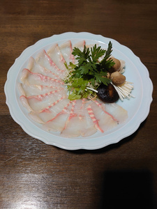 珍しいチョウザメのしゃぶしゃぶ！ 倉吉蝶鮫 切り身200g ／ 国産 ちょうざめ チョウザメ しゃぶしゃぶ 倉吉市