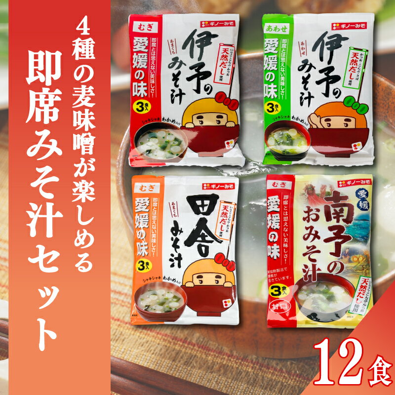 【ふるさと納税】 4種の麦味噌が楽しめる即席みそ汁セット（12食入り）| 即席 レトルト 味噌 味噌汁 みそ汁 簡単 便利 具だくさん 食べ比べ 父の日 一人暮らし 減塩 低塩 麦みそ 国産 大麦 大豆 味噌 みそ 粒みそ 調味料 麹 こうじ 愛媛県 松前町 えひめけん まさきちょう