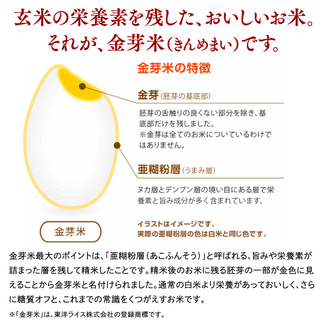 数量限定！【 金芽米 】 ＜6月下期出荷＞ つくばみらい市産 コシヒカリ 5kg × 2袋 ( 計 10kg ) 金芽米 きんめまい 米 お米 無洗米 茨城県 カロリーオフ 低カロリー 東洋ライス 節