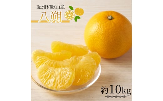 八朔（はっさく）約10kg　紀州和歌山 かつらぎ産【2026年2月上旬頃〜2026年2月下旬頃に順次発送】【UT19】
