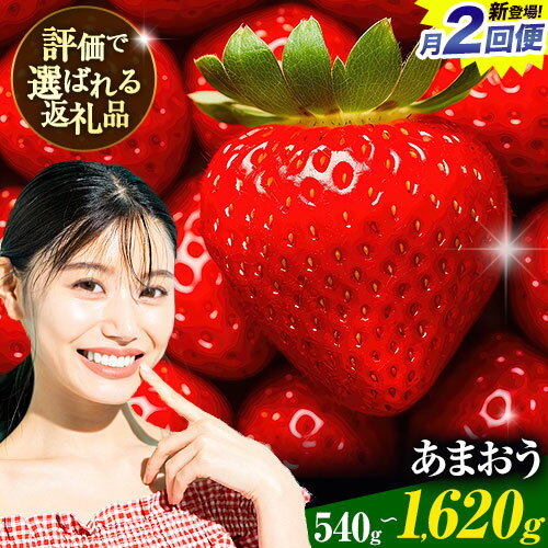 【ふるさと納税】1か月で2回楽しめる！いちご あまおう 先行予約 540g 1080g 1620g ふるさと納税 フルーツ 苺 旬 数量限定 不揃い 傷 4月 くだもの 果物 【着日指定不可】《2026年2月中旬-4月末頃出荷》定期便