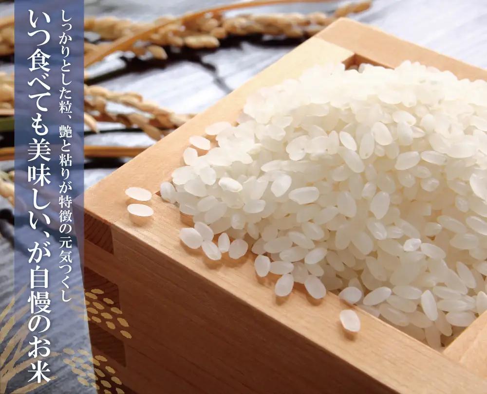 Z17-25 令和7年産 研ぐお米 元気つくし5kg