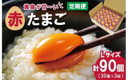 
                  新鮮たまご 赤玉 Lサイズ 30個 3回 【定期便】明和町 中村養鶏場 卵 たまご 生卵 生たまご 鶏卵 国産 濃厚 ny5
                