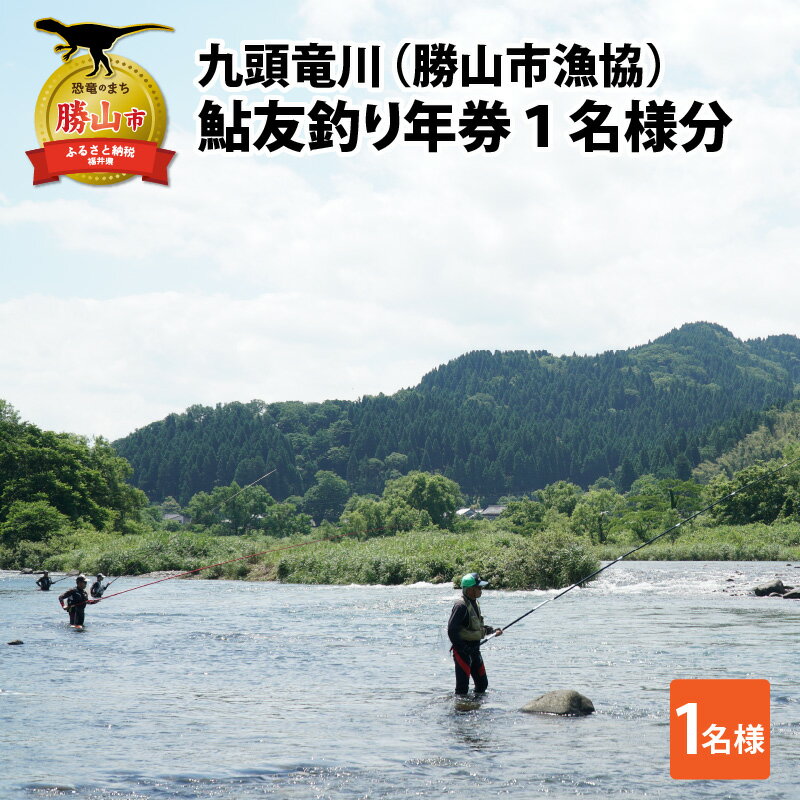【ふるさと納税】【2025年分】九頭竜川（勝山市漁協）鮎友釣り年券 1名様分| 魚 魚介 鮎 アユ 釣り 体験 チケット