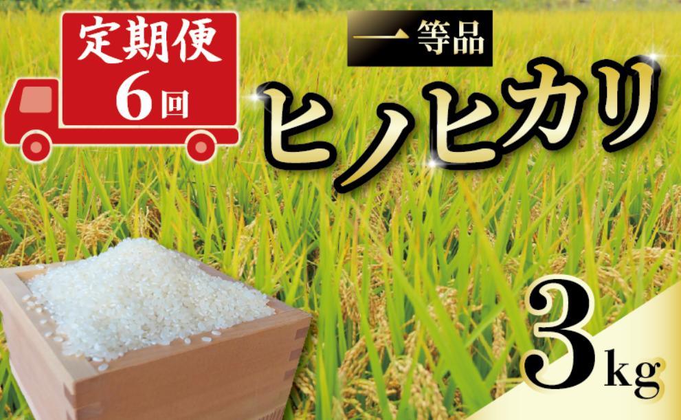 
            定期便 6回 一等品 京都府産 ヒノヒカリ 3kg 白米 宇治 ごはん ひのひかり 令和6年産 京都 京都府 減農薬 EJ05
          