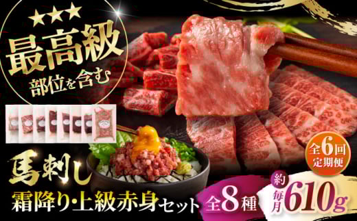 【全6回定期便】「熊本特産」フジチクオリジナル 特選馬刺しの8種セット 3895 / 馬刺し 熊本馬刺し 熊本 菊陽 ネギトロ 醬油 生姜 赤身 赤身【株式会社フジチク】 [BHAD079]