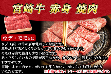 ＜宮崎牛赤身（ウデ・モモ）焼肉 500g＞翌月末迄に順次出荷【 牛 肉 牛肉 和牛 黒毛和牛 赤身 】