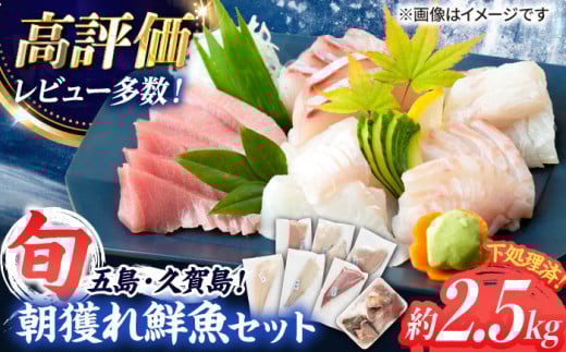 刺身【鮮度そのまま冷蔵で】五島産の高級朝獲れ鮮魚 約2.5kg（真空パック/下処理済）[PBT002] お刺身 刺し身 さしみ 三枚おろし 小分け 小分けパック 海鮮 セット 高級 冷蔵 さかな 生 鮮魚 新鮮 五島 久賀島 旬