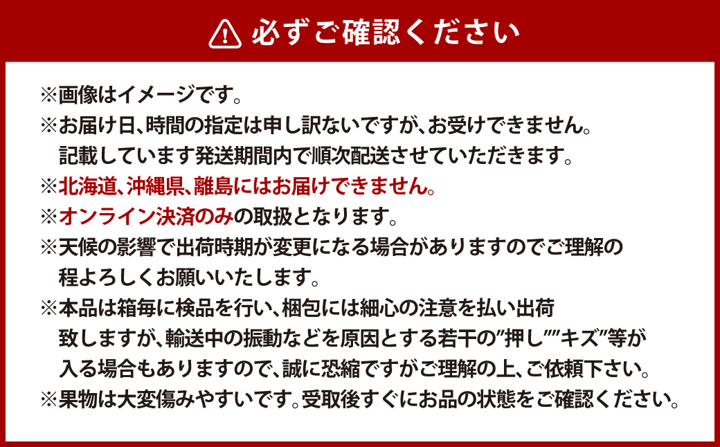 【全2回定期便】 家庭用 ピオーネ 2房（1房約530g以上）＋ KOJIMA GENES キーホルダー フルーツ 果物 ブドウ ぶどう 葡萄 国産 ギフト 贈答 【2026年9月・11月発送予定】
