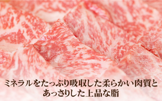 【全3回定期便】 《A4〜A5ランク》壱岐牛 肩ロース 500g（焼肉）《壱岐市》【壱岐市農業協同組合】[JBO095] 肉 牛肉 肩ロース 焼肉 焼き肉 BBQ 赤身 定期便 81000 81000