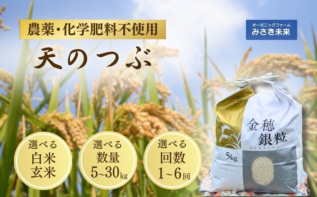 
            令和7年産  天のつぶ 選べる容量 5kg～30kg 白米・玄米 単品 / 定期便 | 無農薬 農薬不使用 化学肥料不使用 白米 精米 玄米 お米 米 こめ コメ 福島産 福島県産 南相馬 みさき未来
          