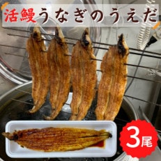 【3尾】活鰻　おいしいうな丼が作れる国産うなぎ蒲焼3本(タレ3ヶ入)