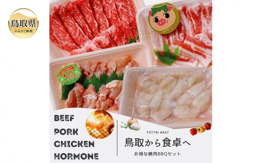 鳥取県産 焼肉セット 1.2ｋｇ (３?５人前） ホルモン 牛肉 豚肉 鶏肉 焼き肉 バーベキュー BBQ ファミリーセット_T2600253