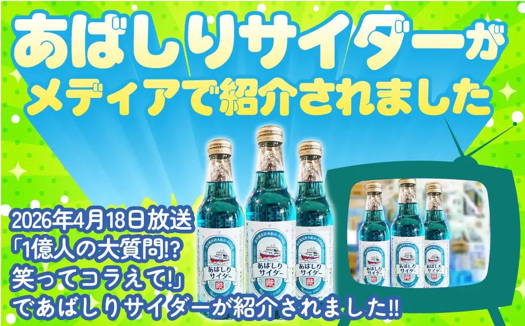 【先行予約】＜網走製造＞あばしりサイダー 340ml×12本入り（2026年5月以降順次発送） 【 ふるさと納税 人気 おすすめ ランキング サイダー 網走 あばしり ご当地 ドリンク 飲み物 炭酸 