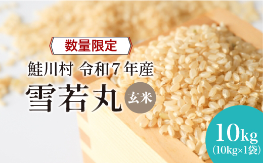 ◇数量限定品◇ 令和8年8月下旬発送 ＜令和7年産＞ 雪若丸 【玄米】 10kg （10kg×1袋）鮭川村