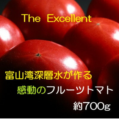 【ふるさと納税】お試しサイズ!フルーツトマト「深層水トマト」約700g【濃厚な甘みと旨み】【1650498】