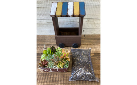 多肉植物 じぶんで植える 多肉 寄せ植えキットＣ 木製 ワゴン型 プランター 全2色 インテリア 植物 寄せ植え ガーデニング 福岡 小郡市 白色