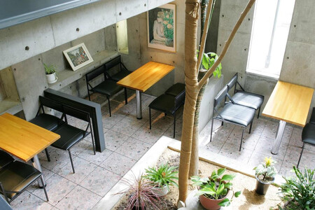 【まざあぐうす】京の抹茶ティラミスチーズケーキ12cm｜京都 スイーツブランド ケーキ 人気 