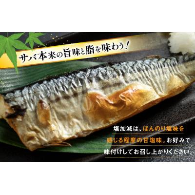 ふるさと納税 気仙沼市 訳あり 減塩 無添加 塩サバ フィレ Mサイズ 総重量 3kg (15-21枚入) 20565687 |  | 03