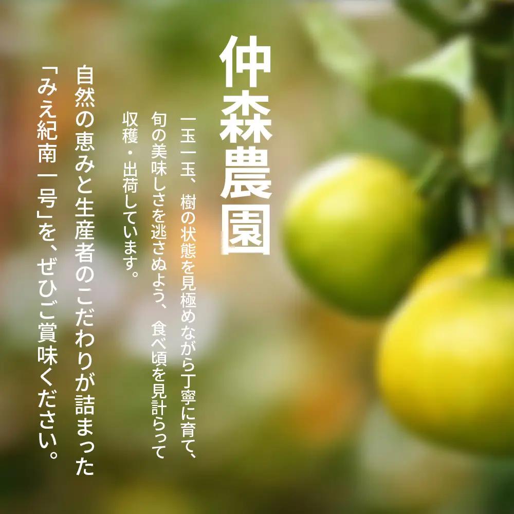 みかん 超極早生温州みかん みえ紀南一号 約7kg【nkmr0013】