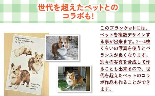ペットオーダーメイドニット ひざかけ「カルテット」 有限会社 三浅あみものセンター 《90日以内に出荷予定(土日祝除く)》鳥取県 八頭町 思い出 オーダーメイド ひざかけ ペット ニット
