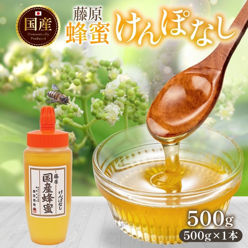 【ふるさと納税】 はちみつ けんぽなし 藤原国産蜂蜜 500g 国産はちみつ 純粋はちみつ 天然 無添加 ケンポナシ 玄圃梨 単花蜜 朝しぼり 完熟 ハチミツ 蜂蜜 岩手県 盛岡市 東北 岩手 盛岡 藤原養蜂場