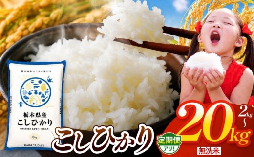 
                  【令和8年産 新米】 無洗米 栃木県産 お米 こしひかり 2～20kg |  栃木県 矢板市 【栃木県共通返礼品】
                