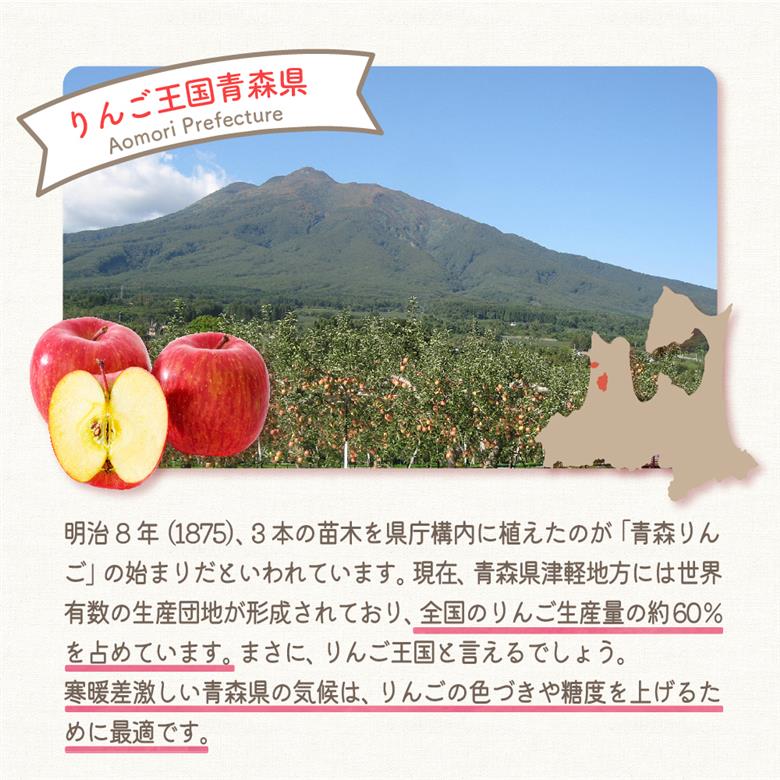 【2026年2月上旬発送】【訳あり】りんご約10kgサンふじ青森産