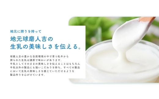 球磨の恵み ヨーグルト (砂糖不使用) 合計 3kg (1kg×3パック) 乳製品 生乳 朝食 おやつ 相良村